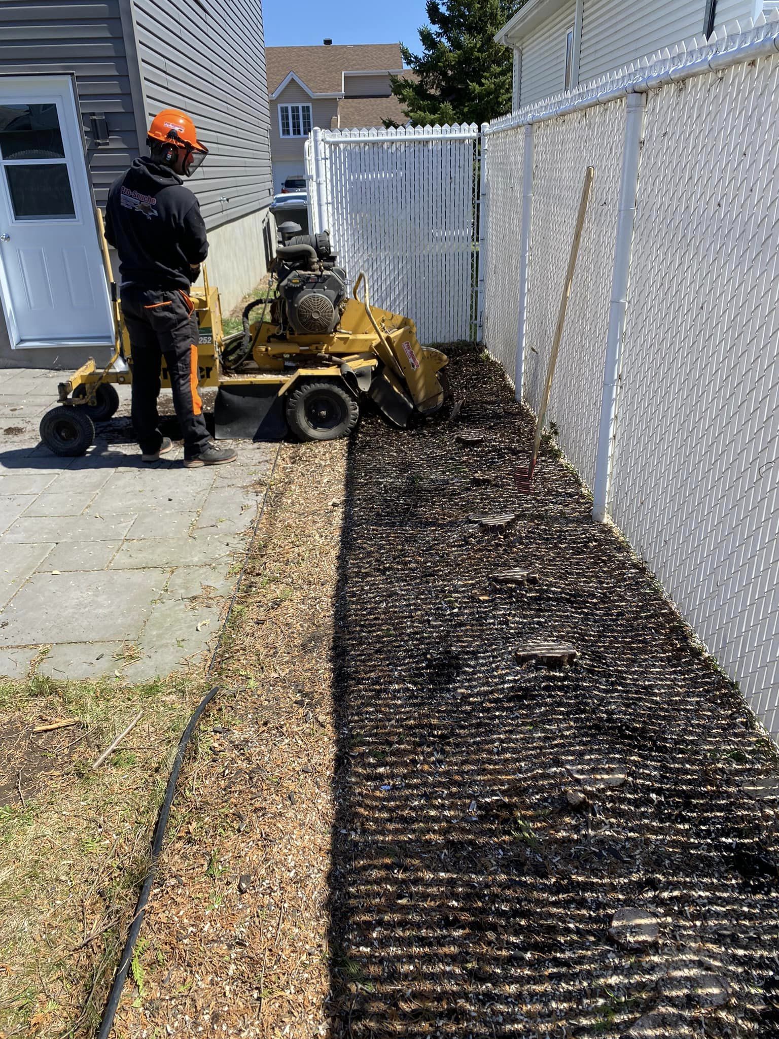 arrachage de haie de cèdres